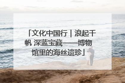 文化中国行｜浪起千帆 深蓝宝藏——博物馆里的海丝遗珍