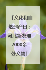 文化和自然遗产日：河北新发现7000余处文物