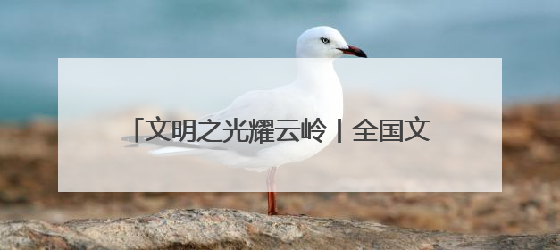 文明之光耀云岭丨全国文明家庭贺丽远家庭——警徽闪耀处 家风铸忠诚