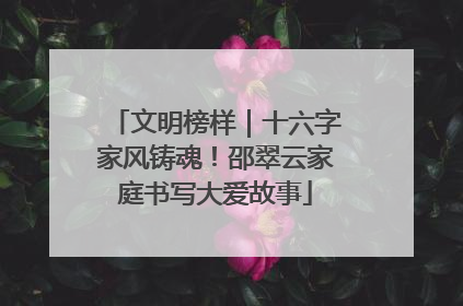 文明榜样｜十六字家风铸魂！邵翠云家庭书写大爱故事