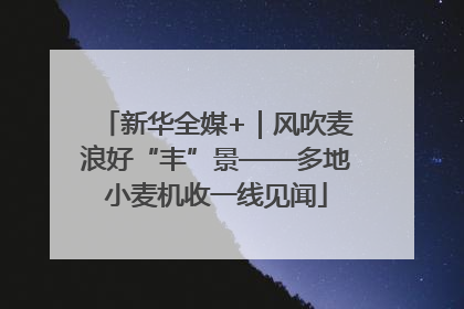 新华全媒+｜风吹麦浪好“丰”景——多地小麦机收一线见闻