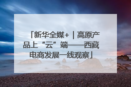 新华全媒+｜高原产品上“云”端——西藏电商发展一线观察