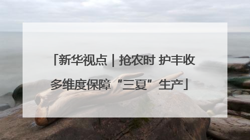 新华视点｜抢农时 护丰收 多维度保障“三夏”生产