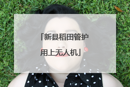新县稻田管护用上无人机