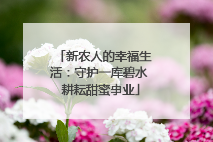 新农人的幸福生活：守护一库碧水 耕耘甜蜜事业