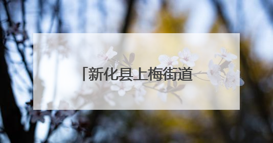 新化县上梅街道向东街：节日里的烟火与欢腾