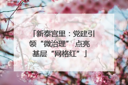 新泰宫里：党建引领“微治理” 点亮基层“网格红”