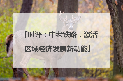 时评：中老铁路，激活区域经济发展新动能