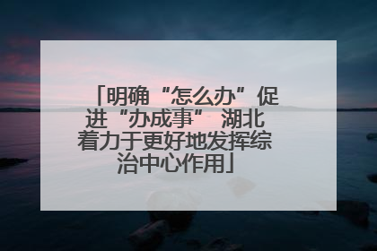 明确“怎么办”促进“办成事” 湖北着力于更好地发挥综治中心作用