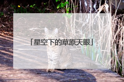 星空下的草原天眼