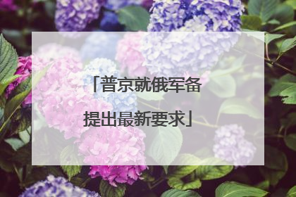 普京就俄军备提出最新要求