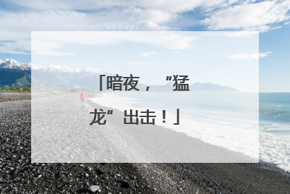 暗夜，“猛龙”出击！