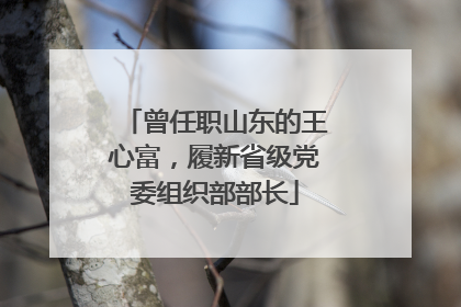曾任职山东的王心富，履新省级党委组织部部长