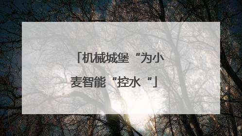 机械城堡“为小麦智能“控水“