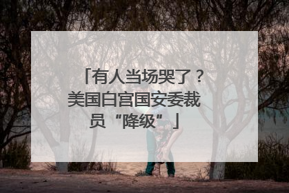 有人当场哭了？美国白宫国安委裁员“降级”