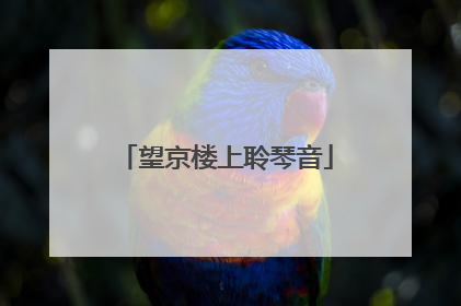 望京楼上聆琴音