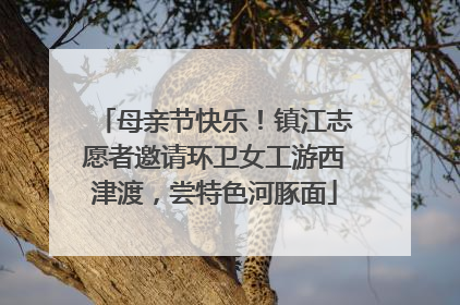 母亲节快乐！镇江志愿者邀请环卫女工游西津渡，尝特色河豚面