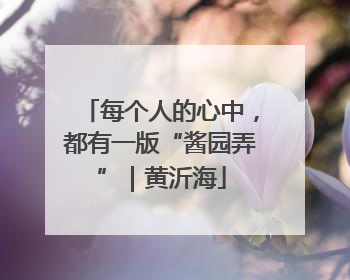 每个人的心中，都有一版“酱园弄”｜黄沂海