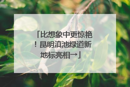 比想象中更惊艳！昆明滇池绿道新地标亮相→