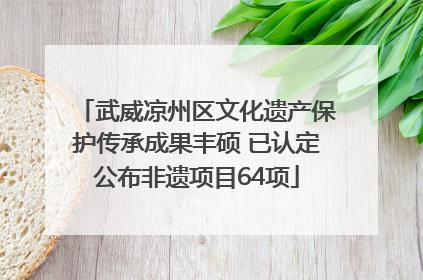 武威凉州区文化遗产保护传承成果丰硕 已认定公布非遗项目64项