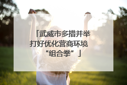 武威市多措并举打好优化营商环境“组合拳”