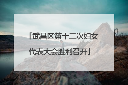 武昌区第十二次妇女代表大会胜利召开