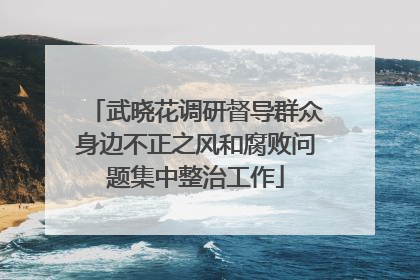 武晓花调研督导群众身边不正之风和腐败问题集中整治工作