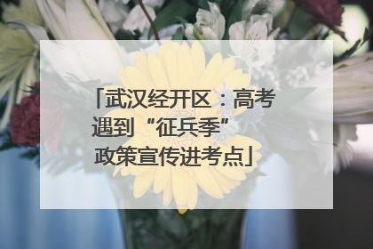 武汉经开区：高考遇到“征兵季”  政策宣传进考点