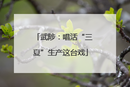 武陟：唱活“三夏”生产这台戏