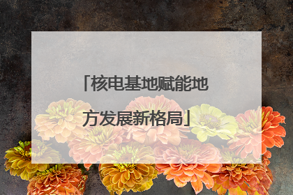 核电基地赋能地方发展新格局