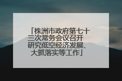 株洲市政府第七十三次常务会议召开 研究低空经济发展、大抓落实等工作