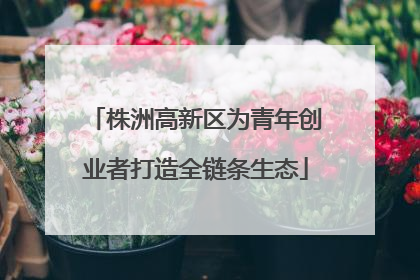 株洲高新区为青年创业者打造全链条生态