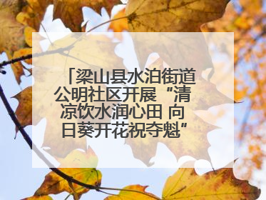 梁山县水泊街道公明社区开展“清凉饮水润心田 向日葵开花祝夺魁”助考活动