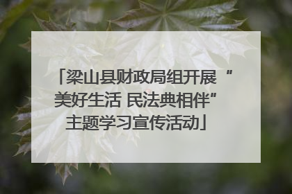 梁山县财政局组开展“美好生活 民法典相伴”主题学习宣传活动