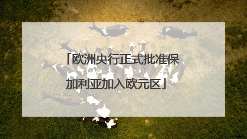 欧洲央行正式批准保加利亚加入欧元区