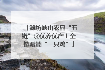 潍坊峡山农品“五链”③优养优产！全链赋能“一只鸡”