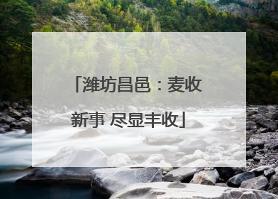 潍坊昌邑：麦收新事 尽显丰收