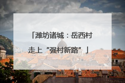 潍坊诸城：岳西村走上“强村新路”