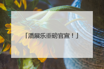 潘展乐重磅官宣！