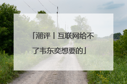 潮评丨互联网给不了韦东奕想要的