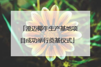 澄迈椰牛生产基地项目成功举行奠基仪式