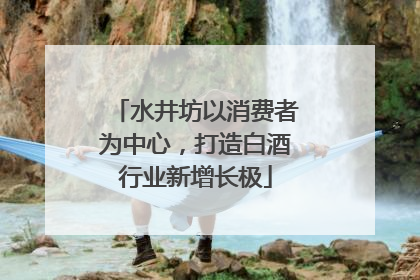 水井坊以消费者为中心，打造白酒行业新增长极