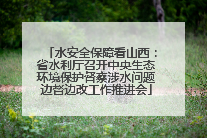 水安全保障看山西：省水利厅召开中央生态环境保护督察涉水问题边督边改工作推进会