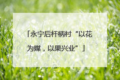 永宁后杆柄村“以花为媒，以果兴业”