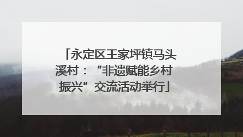 永定区王家坪镇马头溪村：“非遗赋能乡村振兴”交流活动举行