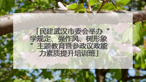民建武汉市委会举办“学规定、强作风、树形象”主题教育暨参政议政能力素质提升培训班