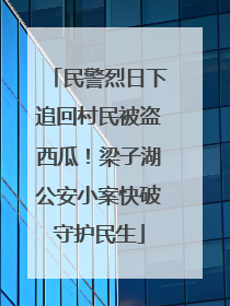 民警烈日下追回村民被盗西瓜！梁子湖公安小案快破守护民生