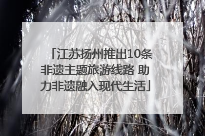 江苏扬州推出10条非遗主题旅游线路 助力非遗融入现代生活