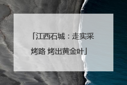 江西石城：走实采烤路 烤出黄金叶