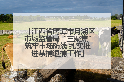 江西省鹰潭市月湖区市场监管局“三聚焦”筑牢市场防线 扎实推进禁捕退捕工作